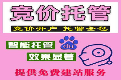 百度SEM竞价推广案例解析：某知名品牌如何抢占市场先机